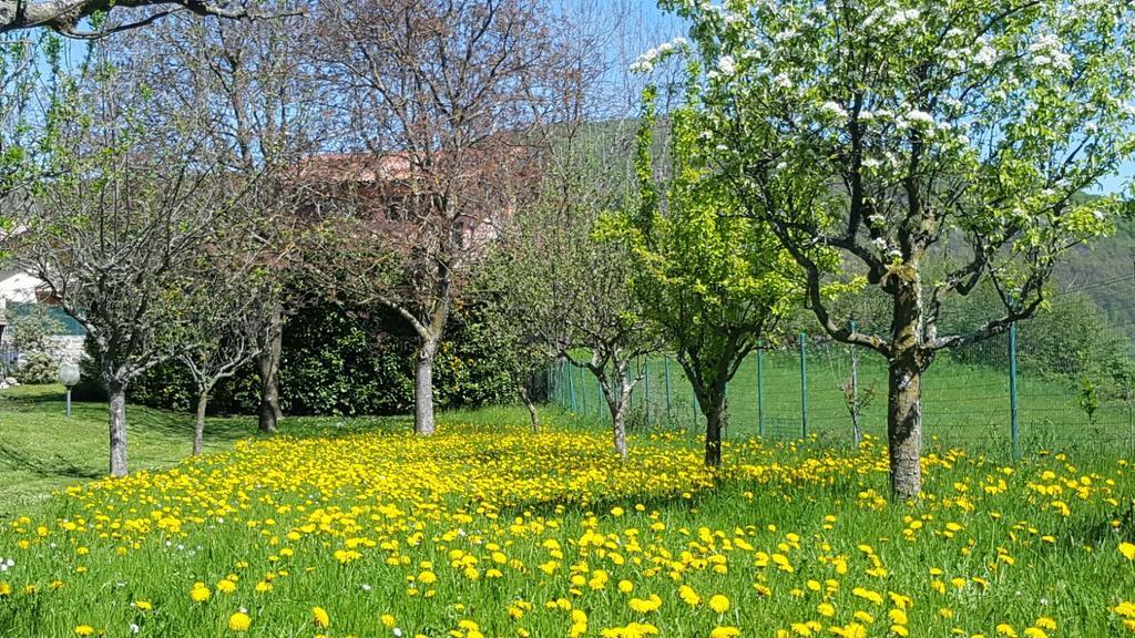 Villa San Giorgio Pellio Superiore Εξωτερικό φωτογραφία